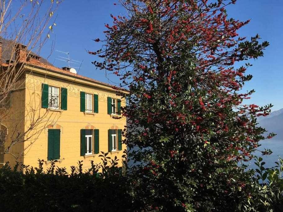 Villa Peroni Lake Como Classic With Swimming Pool Argegno Exterior foto